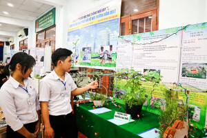 Environmental solution contest