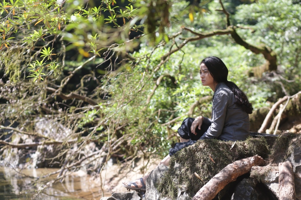 Chiếu miễn phí 30 phim dự Liên hoan phim Việt Nam lần thứ XXI