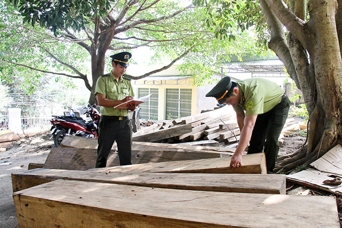 32 vụ vi phạm Luật Lâm nghiệp