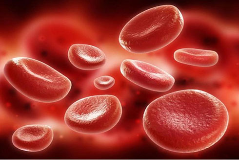 Những loại thực phẩm giúp ngăn ngừa máu đóng cục