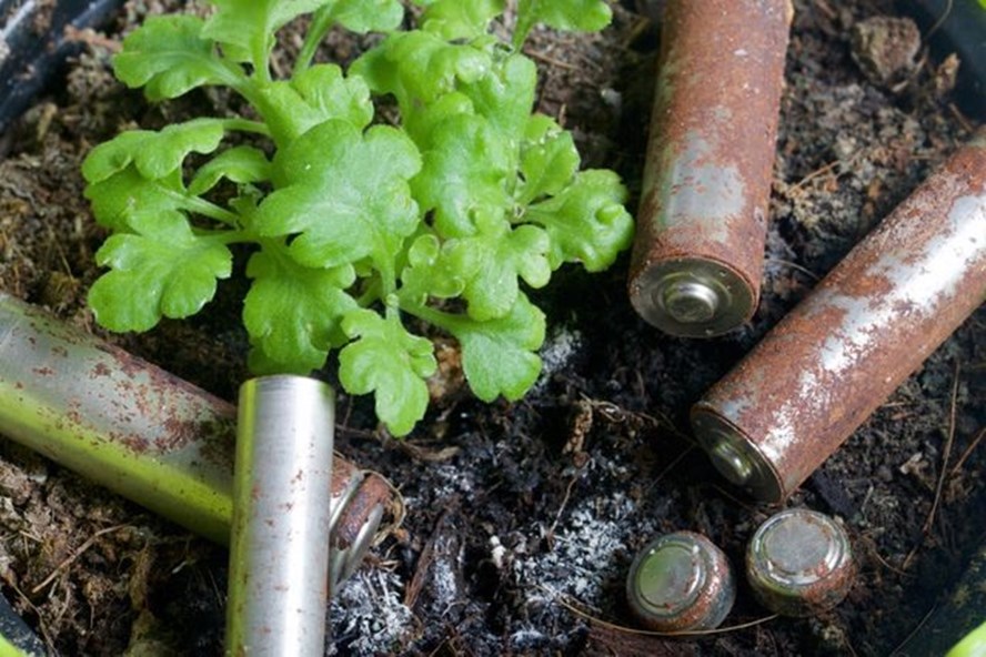 Vứt pin cũ không đúng cách tác hại khôn lường