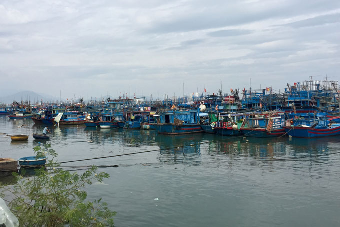 Nha Trang: Chủ động ứng phó bão số 6