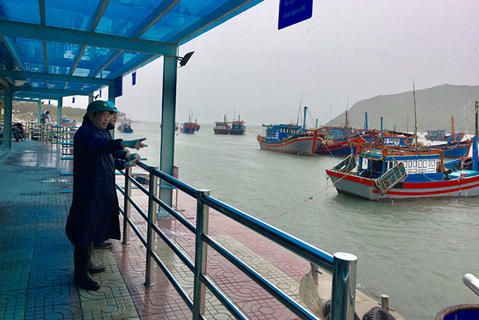 Ông Nguyễn Sỹ Khánh kiểm tra tàu thuyền neo đậu tại Bến tàu du lịch Nha Trang.