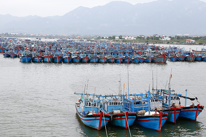 More 300 boats anchoring in Ninh Hai