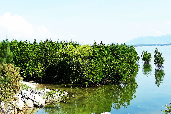 Đánh giá tác động của biến đổi khí hậu