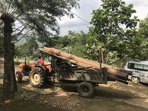 Thu giữ khoảng 2m3 gỗ cất giấu trái phép trên rẫy keo ở Ba Cụm Bắc