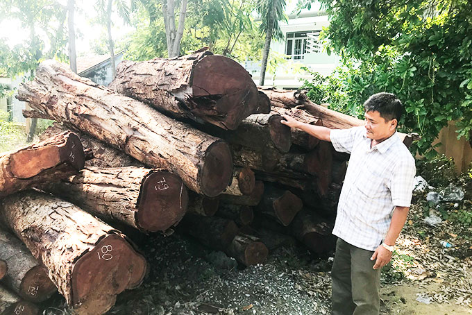 Gần đây, lực lượng chức năng liên tục bắt giữ gỗ căm xe khai thác trái phép tại khu vực xã Ninh Tây.
