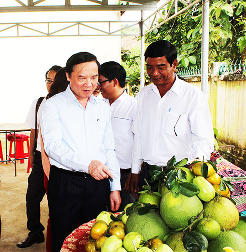 Thường trực Tỉnh ủy: Dự Ngày hội Đại đoàn kết dân tộc tại các địa phương