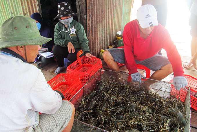 Hàng nông, thủy sản vào thị trường Trung Quốc gặp khó