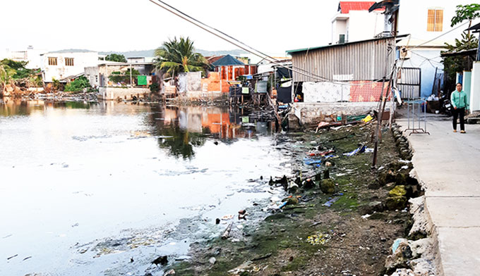 Hồ nước giữa khu dân cư gây ô nhiễm