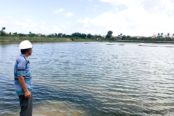 Ông Trần Văn Na (tổ dân phố Phú Thọ 2,  phường Ninh Diêm) kiểm tra ruộng muối đang được thả nuôi tôm.