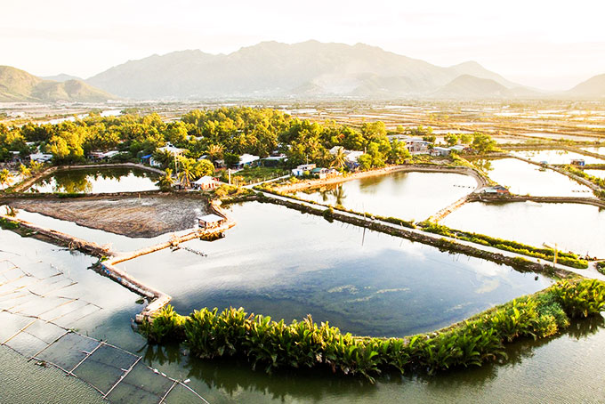 Mùa đông Nha Trang