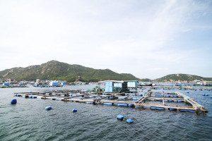 Cam Ranh: Quy hoạch nuôi trồng thủy sản bị chồng lấn
