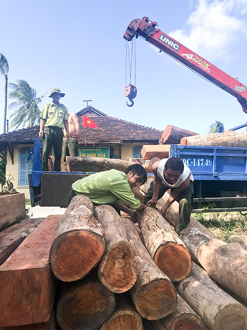 Toàn tỉnh Khánh Hòa phát hiện 269 vụ vi phạm Luật Lâm nghiệp