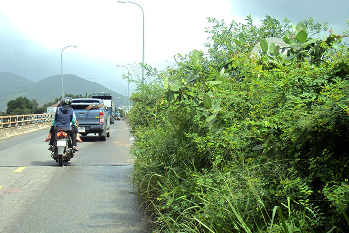 Biển báo, biển tên cầu bị che khuất