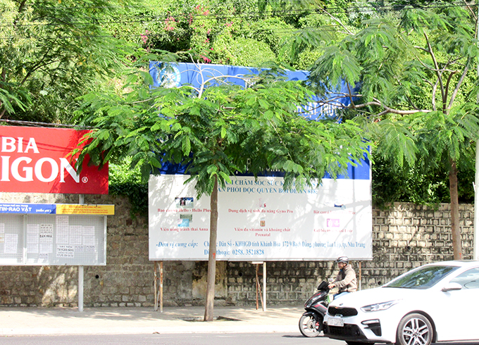 Pa nô tuyên truyền bị tán cây che khuất