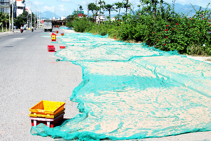 Chiếm dụng lòng đường để phơi thủy sản