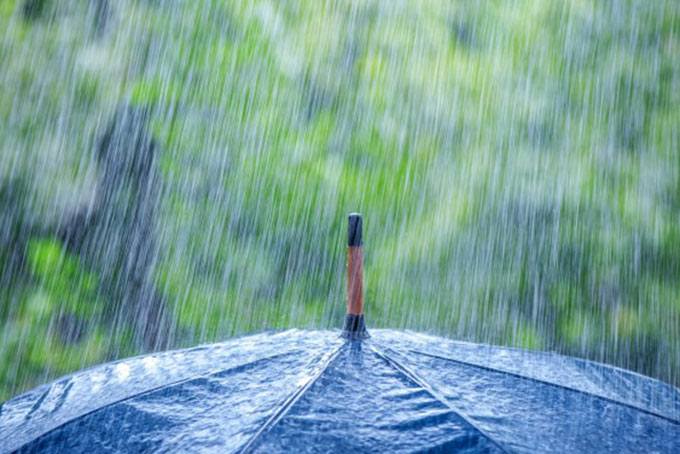 Mưa lớn dịp Giáng sinh giúp giảm nhẹ tình trạng cháy rừng ở Australia