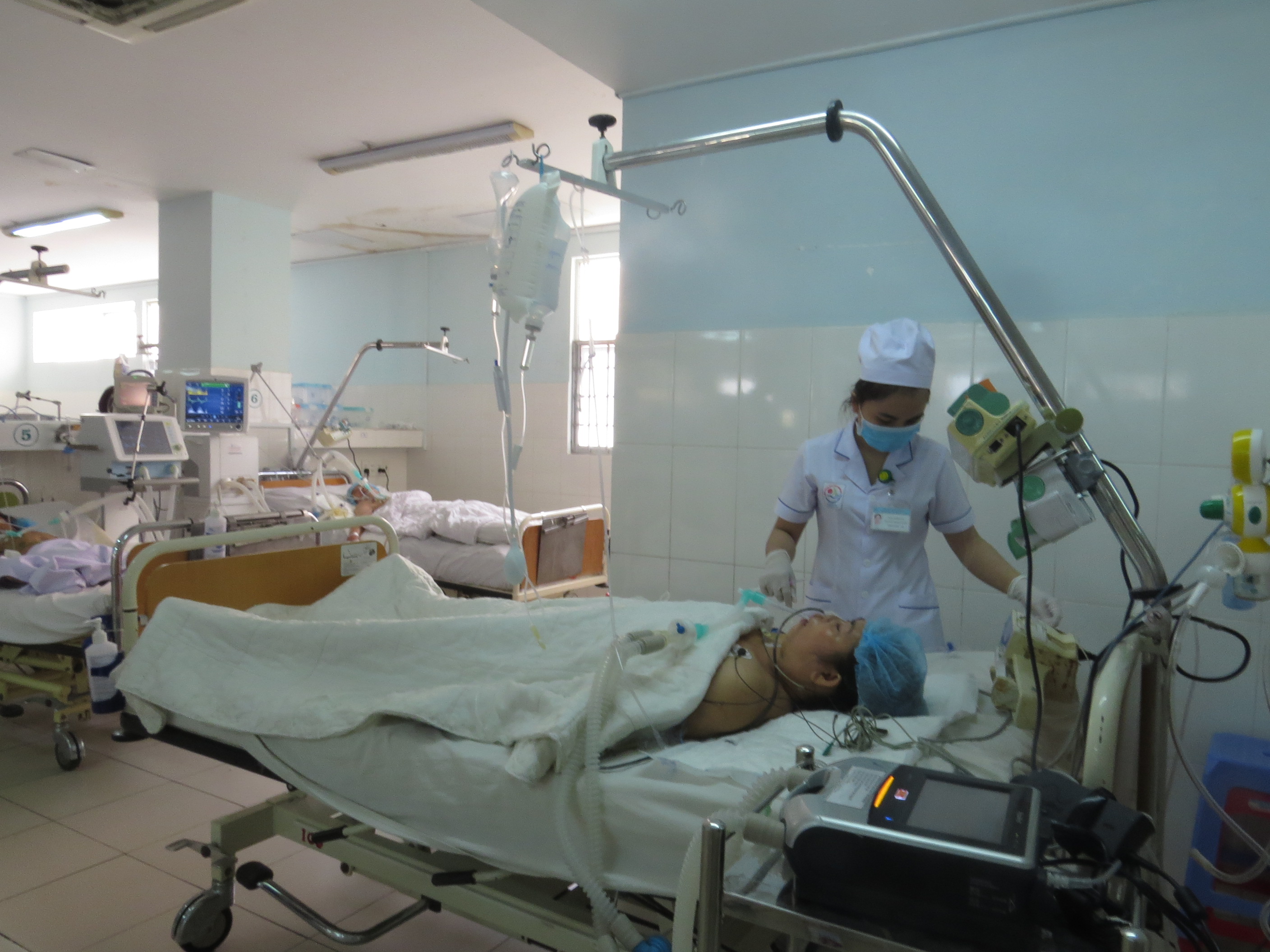 Ăn ốc bùn bống một người bị hôn mê sâu