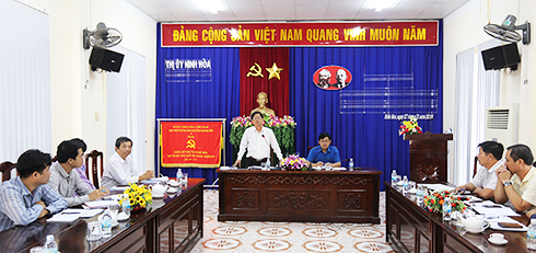 Đồng chí Nguyễn Tấn Tuân phát biểu chỉ đạo.