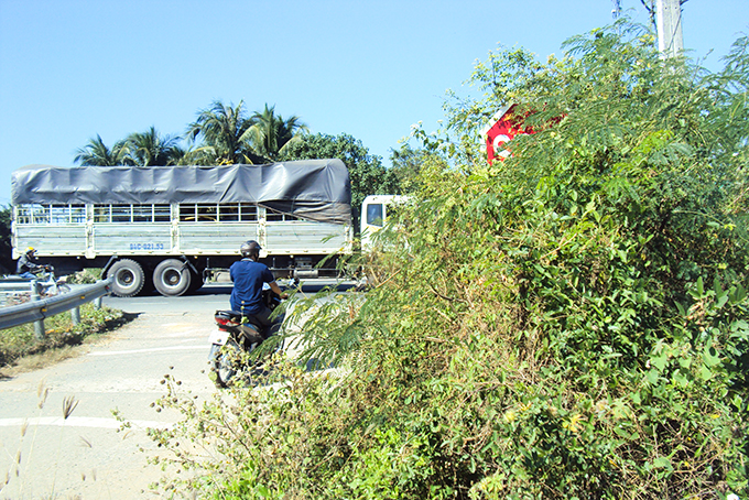 Biển báo bị che khuất