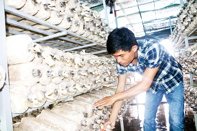 Ứng dụng khoa học công nghệ vào nông nghiệp