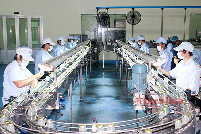Dây chuyền sản xuất nước yến sào cao cấp của Công ty Yến sào Khánh Hòa.