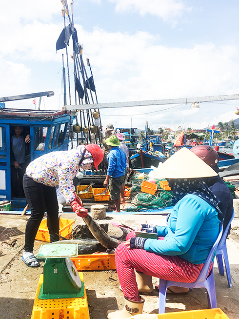 Năm 2019, hoạt động khai thác thủy sản trên biển  của ngư dân gặp nhiều khó khăn.