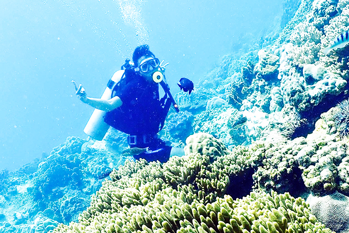 Ở thế giới dưới nước, du khách bước vào một chuyến phiêu lưu kỳ thú.