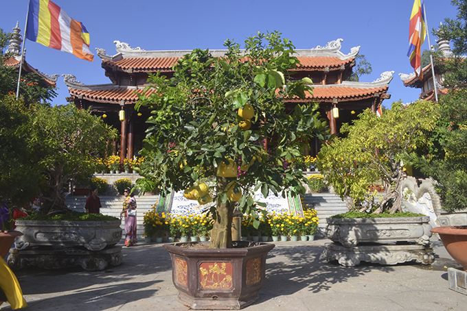 Những cây cảnh độc, lạ có giá hàng trăm triệu đồng