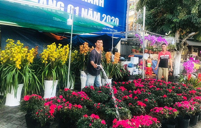 Người bán chăm sóc cho hoa.
