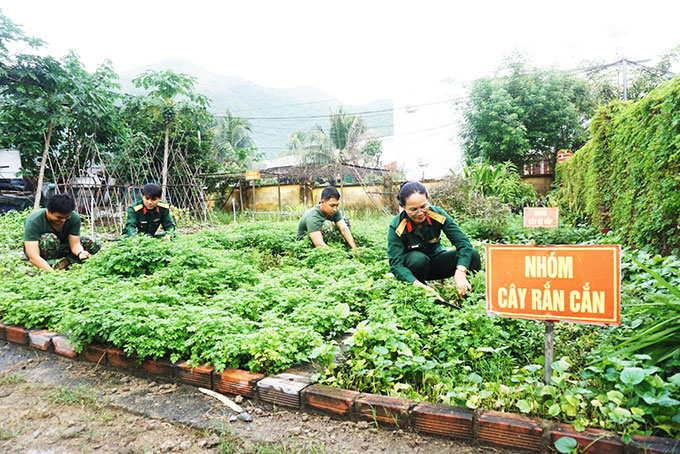 Đại đội Thiết giáp 74: Làm tốt công tác dân vận