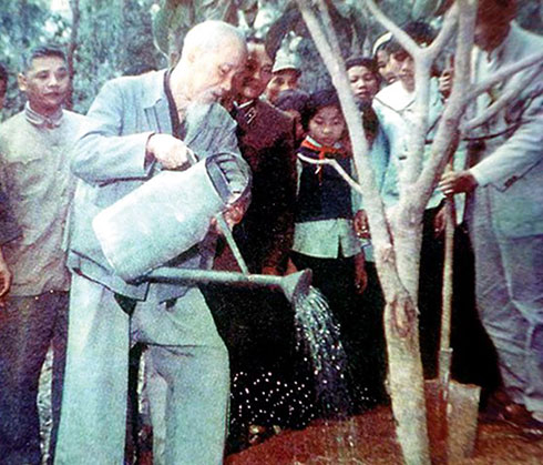 Bác Hồ và Tết trồng cây - Báo Khánh Hòa điện tử