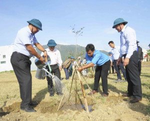 Vạn Ninh: Phát động hưởng ứng lời kêu gọi Tết trồng cây của Bác Hồ