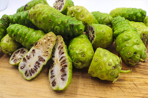 Hiệu quả bất ngờ khi dùng trái nhàu đúng cách