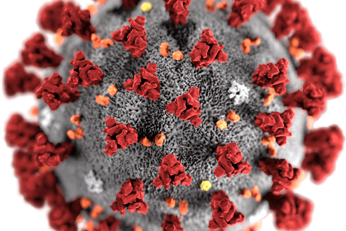 Triển khai hướng dẫn mới về tạm thời giám sát và phòng, chống Covid-19