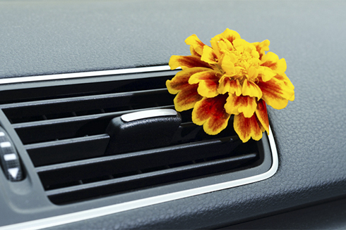 Những cách khử mùi hôi trên ôtô