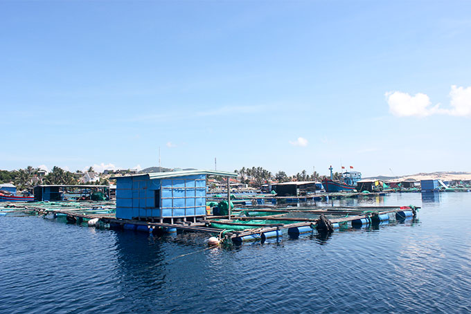 Điều chỉnh, bổ sung quy hoạch nuôi trồng thủy sản: Còn nhiều vướng mắc