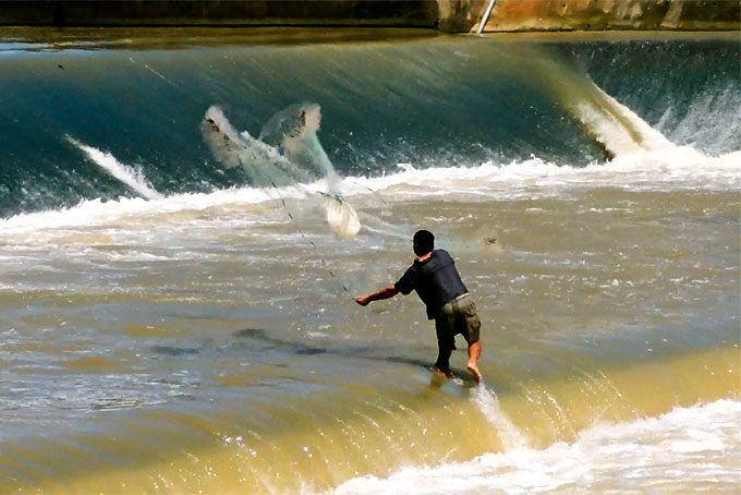 Đánh bắt cá ngay chân đập tràn