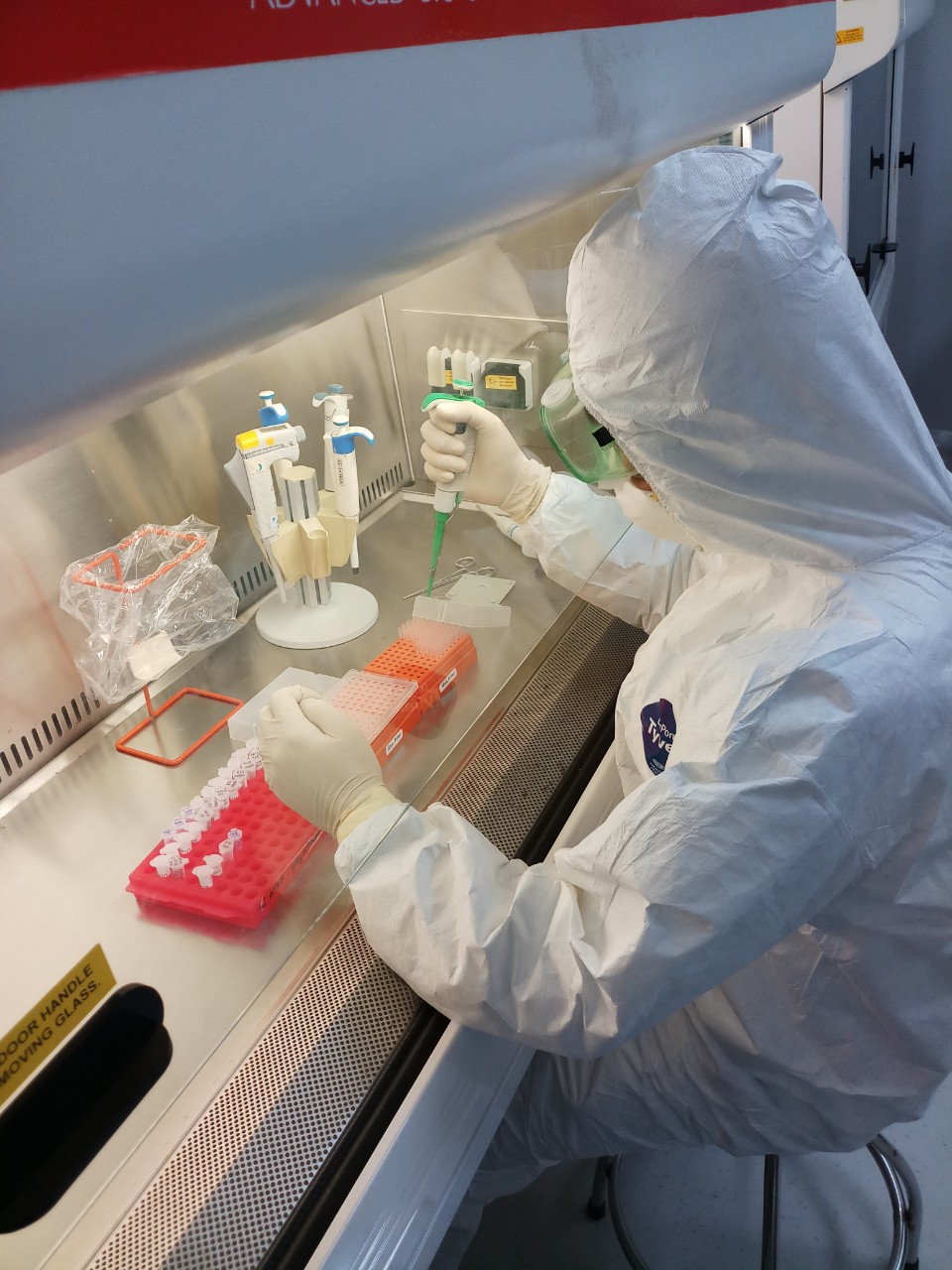 Thực hiện xét nghiệm mẫu bệnh Covid-19 tại Viện Pasteur Nha Trang