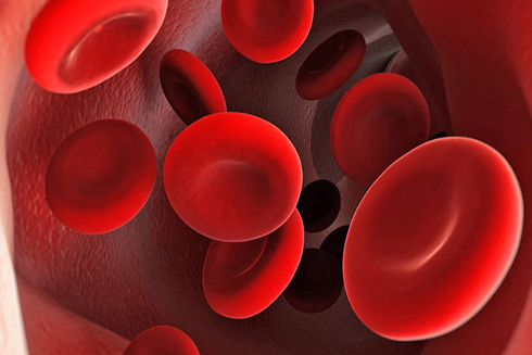 Điều nguy hại gì xảy ra khi bạn nạp quá nhiều chất sắt?