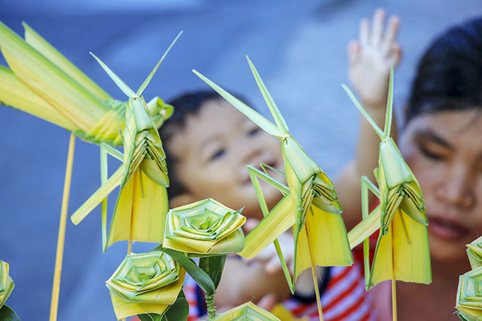 Cánh cào cào lá dừa tuổi thơ