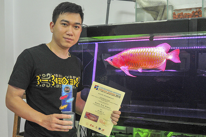Anh Hồ Quang Huy với những chú cá rồng được nhập từ nước ngoài về có trị giá hàng chục triệu đồng.