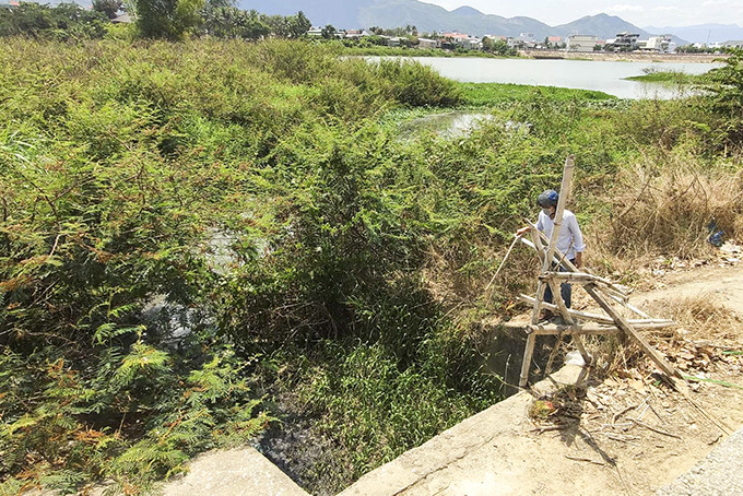 Họng cống đổ ra sông Cái bốc mùi hôi thối vì chất xả thải từ các cơ sở sản xuất bún tại thị trấn Diên Khánh.
