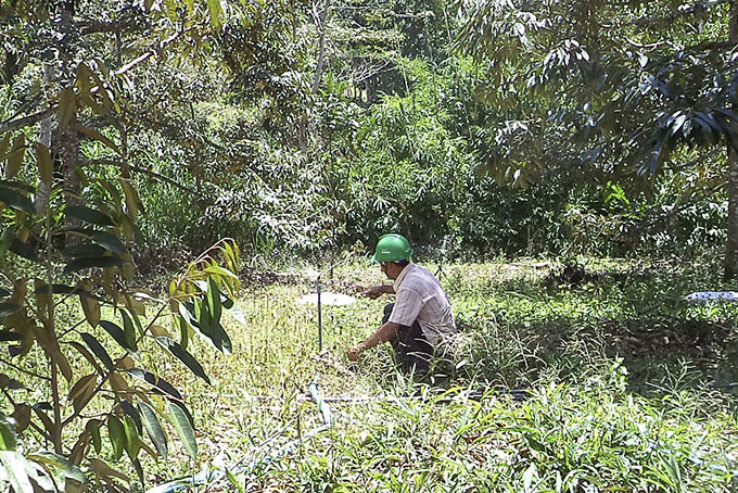 Khánh Sơn: Hiệu quả từ mô hình tưới tiết kiệm