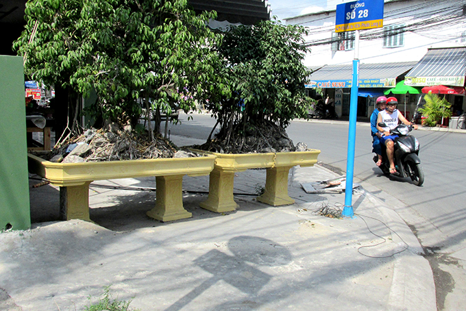 Chậu cảnh gây cản trở lối đi bộ