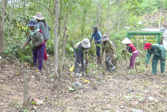 Người dân thôn Giải Phóng (Cam Phước Đông) thu dọn thực bì và làm đường ranh cản lửa.