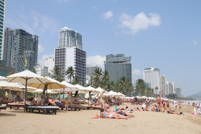 Các cơ sở lưu trú thuê bãi biển để đặt ghế, dù cho khách nghỉ dưỡng