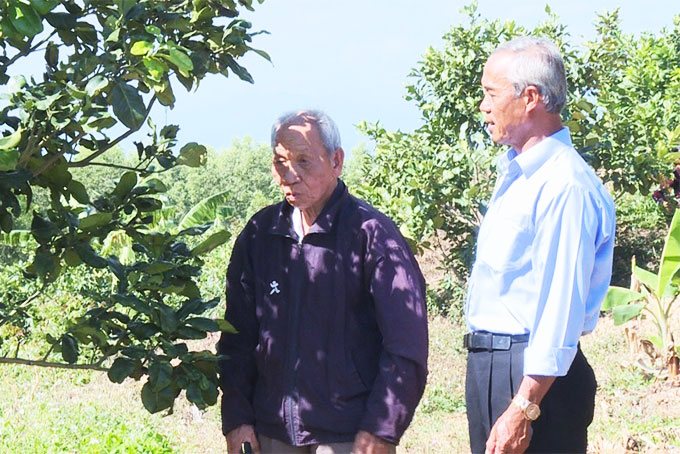 Đại diện Hội Người cao tuổi thăm gia đình ông Chín và trao đổi kinh nghiệm chăm sóc cây trồng.