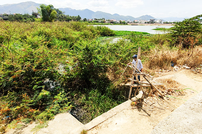 Đề nghị sớm giải quyết dứt điểm tình trạng xả chất thải ra sông Cái